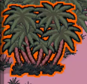Palmtree Spot